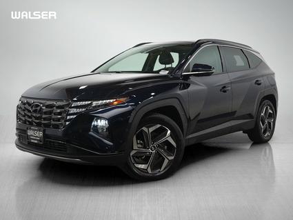 2024 Hyundai Tucson Hybrid Minneapolis MN
