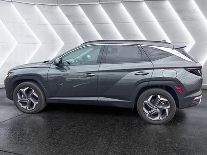 2024 Hyundai Tucson Hybrid Tuscumbia AL