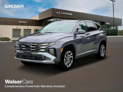 2025 Hyundai Tucson Hybrid Minneapolis MN