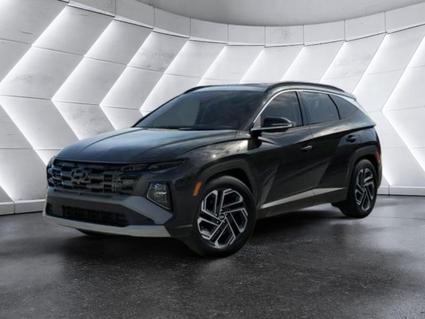 2025 Hyundai Tucson Hybrid Tuscumbia AL