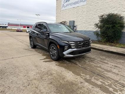 2026 Hyundai Tucson Hybrid Cape Girardeau MO