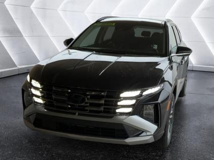 2026 Hyundai Tucson Hybrid Evansville IN