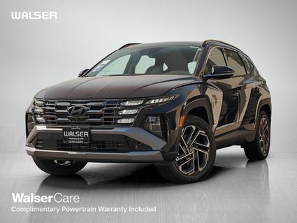 2025 Hyundai Tucson Hybrid Minneapolis MN