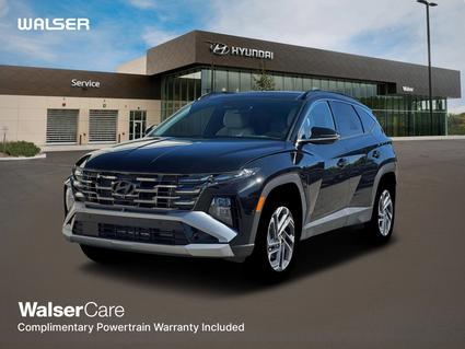 2026 Hyundai Tucson Hybrid Minneapolis MN