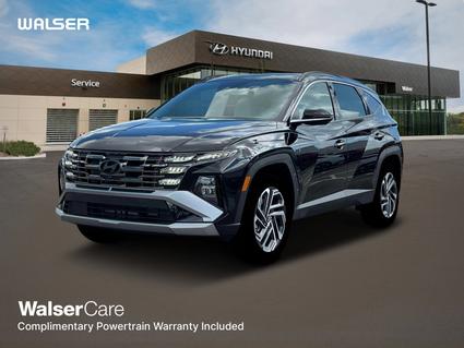 2025 Hyundai Tucson Hybrid Minneapolis MN