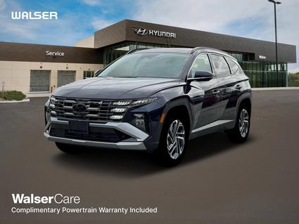 2025 Hyundai Tucson Hybrid Minneapolis MN