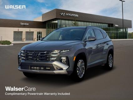 2026 Hyundai Tucson Hybrid Minneapolis MN