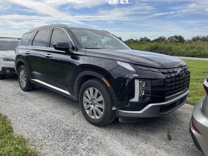 2023 Hyundai Palisade Fletcher NC