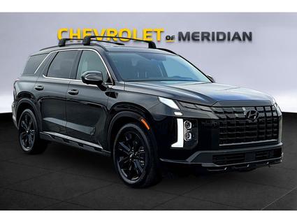 2025 Hyundai Palisade Meridian MS