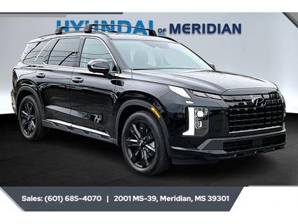2025 Hyundai Palisade Meridian MS