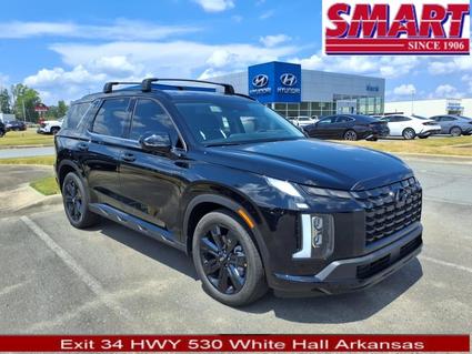 2025 Hyundai Palisade White Hall AR