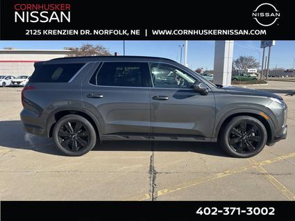 2023 Hyundai Palisade Norfolk NE