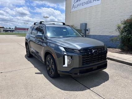 2025 Hyundai Palisade Cape Girardeau MO