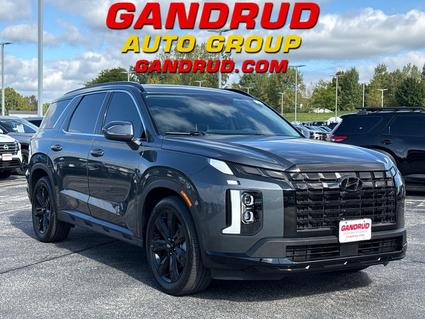 2024 Hyundai Palisade Green Bay WI
