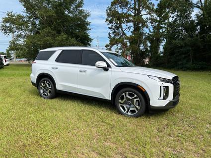 2025 Hyundai Palisade Brunswick GA