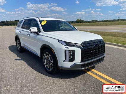 2025 Hyundai Palisade Enterprise AL