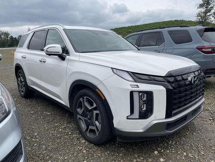 2023 Hyundai Palisade Fletcher NC