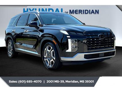 2024 Hyundai Palisade Meridian MS