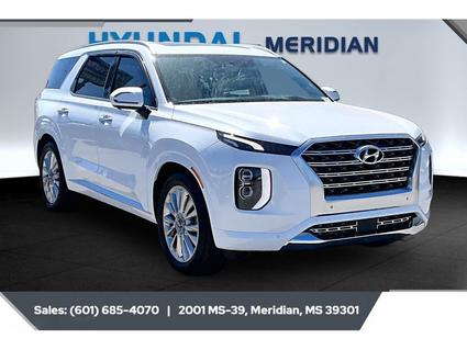 2020 Hyundai Palisade Meridian MS
