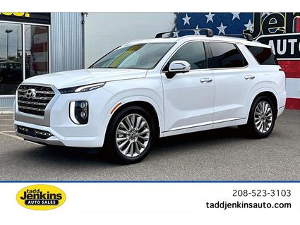 2020 Hyundai Palisade Blackfoot ID