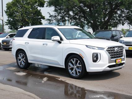 2021 Hyundai Palisade Minneapolis MN