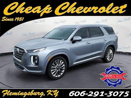 2020 Hyundai Palisade Flemingsburg KY