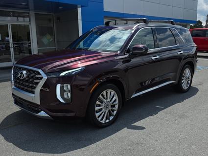 2020 Hyundai Palisade Lewisburg WV
