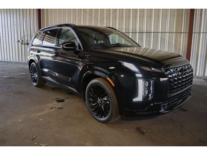 2025 Hyundai Palisade Manhattan KS