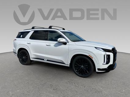 2025 Hyundai Palisade Brunswick GA