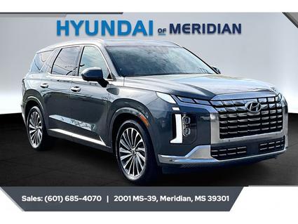 2024 Hyundai Palisade Meridian MS