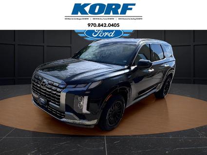 2024 Hyundai Palisade Brush CO
