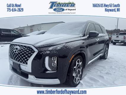 2021 Hyundai Palisade Hayward WI