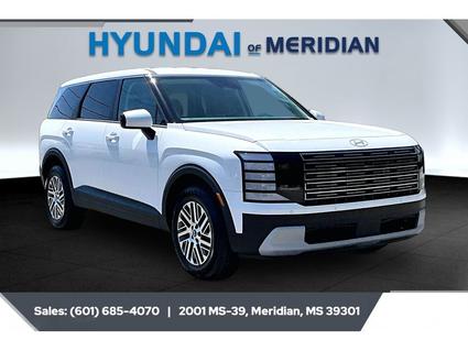 2026 Hyundai Palisade Meridian MS