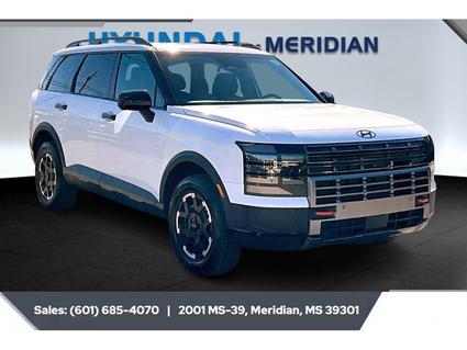 2026 Hyundai Palisade Meridian MS