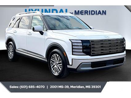 2026 Hyundai Palisade Meridian MS