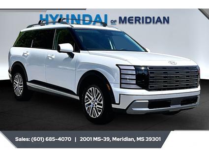 2026 Hyundai Palisade Meridian MS