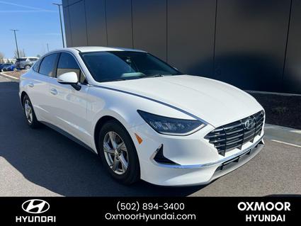 2023 Hyundai Sonata Louisville KY