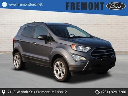2022 Ford Ecosport Fremont MI