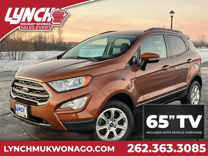 2020 Ford Ecosport Mukwonago WI
