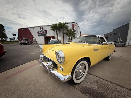 1955 Ford Thunderbird Brownsville TX