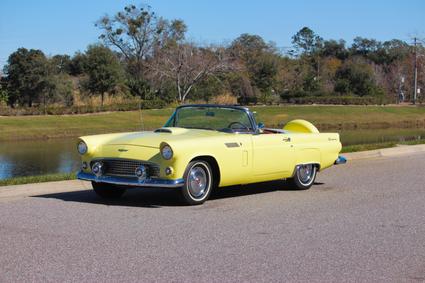 1956 Ford Thunderbird  Winter Garden FL