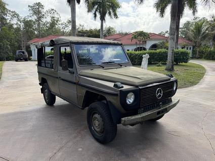 1990 Mercedes-Benz 230GE Frostproof FL