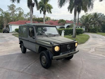 1993 Mercedes-Benz 230GE Frostproof FL