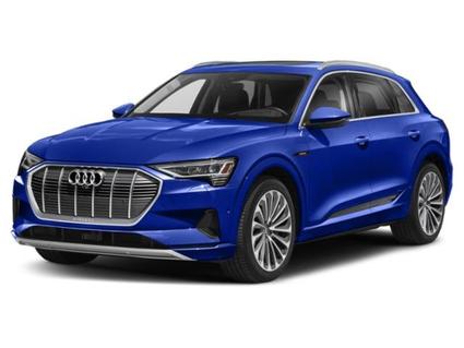 2021 Audi e-tron Minneapolis MN