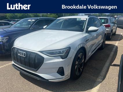 2021 Audi e-tron Minneapolis MN