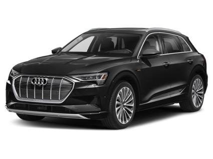 2021 Audi e-tron Minneapolis MN
