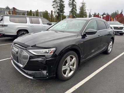 2019 Audi e-tron  