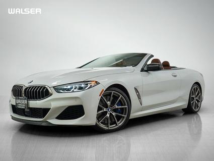 2019 BMW 8 series Minneapolis MN