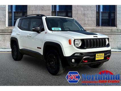2019 Jeep Renegade Webster SD